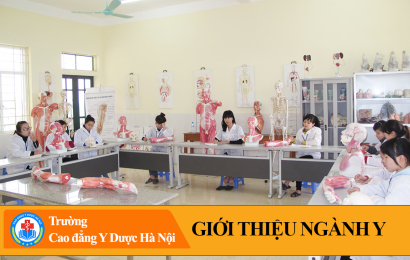 Giới thiệu ngành Y – Trường CĐ Y Dược Hà Nội