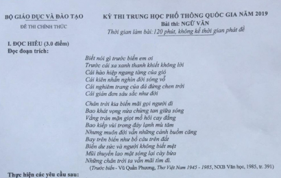 Đề thi ngữ văn THPT Quốc gia 2019 và 1 số kênh tham khảo gợi ý đáp án