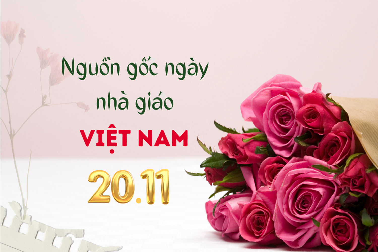 Nguồn gốc, ý nghĩa ngày Nhà giáo Việt Nam 20/11